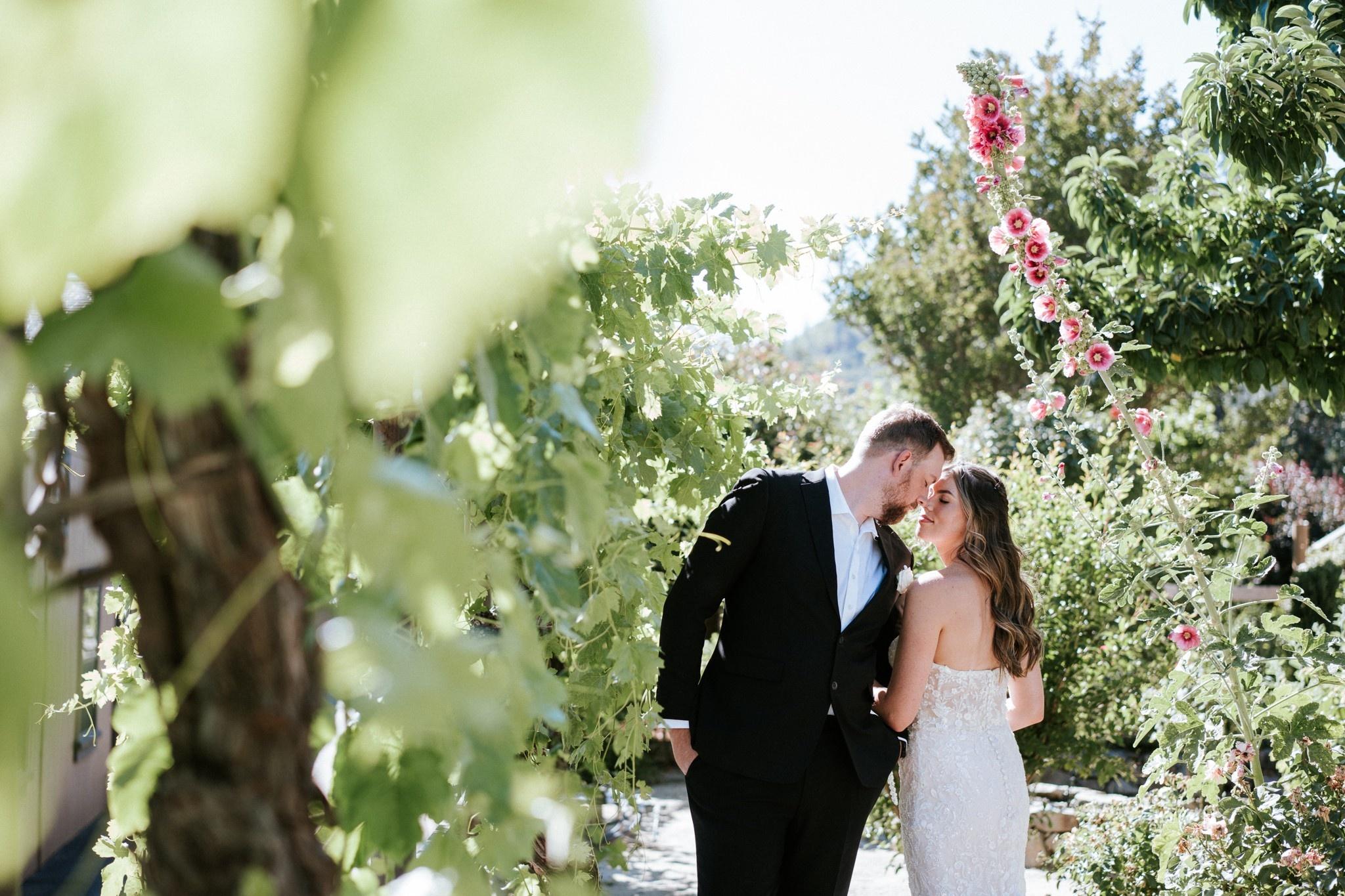 carousel-hero-element image-2